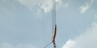 Kontainer Reefer Kosong di Rute Jakarta–Natuna Picu Kritik, Pasokan Ayam Anjlok 15 Ton