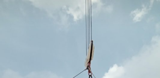 Kontainer Reefer Kosong di Rute Jakarta–Natuna Picu Kritik, Pasokan Ayam Anjlok 15 Ton