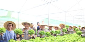 Dukung Ketahanan Pangan, Polda Kepri Panen Perdana Sayuran Hidroponik