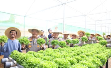 Dukung Ketahanan Pangan, Polda Kepri Panen Perdana Sayuran Hidroponik