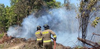 Tim Karhutla Polda Kepri Lakukan Pemadaman Kebakaran Lahan di Pantai Nirwana dan Bukit Daeng