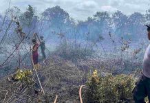 Sigap! Polsek Daik Lingga Bersama Tim Gabungan Padamkan Kebakaran Lahan di Panggak Darat