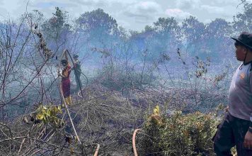 Sigap! Polsek Daik Lingga Bersama Tim Gabungan Padamkan Kebakaran Lahan di Panggak Darat