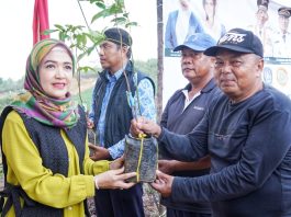 BKOW Kepri Salurkan 700 Bibit Tanaman ke Bintan, Dorong Ketahanan Pangan dan Ekonomi Warga