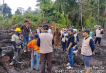 Polemik Lahan Sagu di Lingga, Perusahaan Bantah Sengaja Serobot, Pemda Hentikan Aktivitas