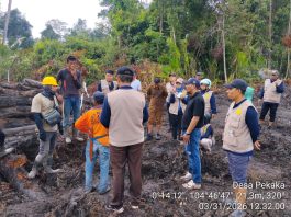 Polemik Lahan Sagu di Lingga, Perusahaan Bantah Sengaja Serobot, Pemda Hentikan Aktivitas