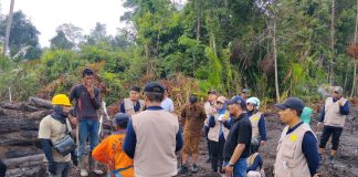 Polemik Lahan Sagu di Lingga, Perusahaan Bantah Sengaja Serobot, Pemda Hentikan Aktivitas