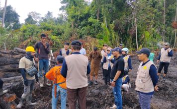 Polemik Lahan Sagu di Lingga, Perusahaan Bantah Sengaja Serobot, Pemda Hentikan Aktivitas