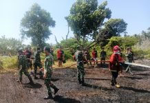 Prajurit Batalyon Komposit 1/GP Bersama Tim Satgas Karhutla Sigap Tangani Kebakaran Lahan di Natuna