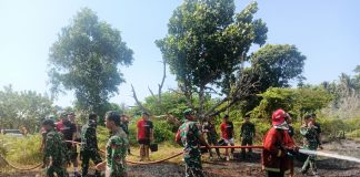 Prajurit Batalyon Komposit 1/GP Bersama Tim Satgas Karhutla Sigap Tangani Kebakaran Lahan di Natuna