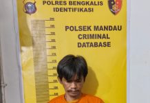 Tergiur Janji Kerja, Korban Rugi Rp7 Juta, Pelaku Akhirnya Dibekuk