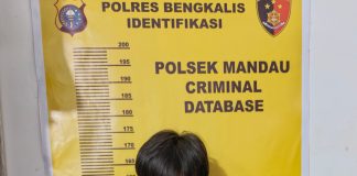 Tergiur Janji Kerja, Korban Rugi Rp7 Juta, Pelaku Akhirnya Dibekuk