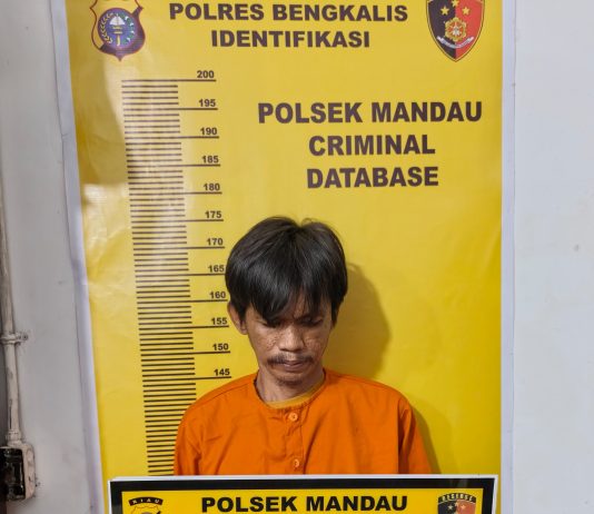 Tergiur Janji Kerja, Korban Rugi Rp7 Juta, Pelaku Akhirnya Dibekuk