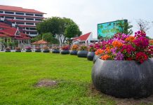 Jawab Kekhawatiran Publik, BP Batam Pastikan Penataan Pot Bougenville Gunakan Dana CSR