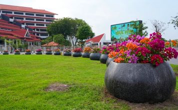 Jawab Kekhawatiran Publik, BP Batam Pastikan Penataan Pot Bougenville Gunakan Dana CSR