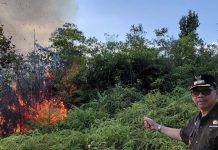 Wabup Natuna Laporkan Kebakaran, Tim Pemadam Langsung Dikerahkan