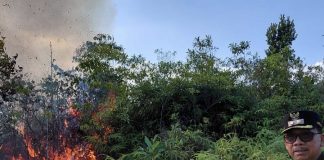 Wabup Natuna Laporkan Kebakaran, Tim Pemadam Langsung Dikerahkan