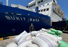 Cengkeh Natuna Tembus Pasar Surabaya, Karantina Jamin Mutu dan Keamanan