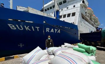 Cengkeh Natuna Tembus Pasar Surabaya, Karantina Jamin Mutu dan Keamanan