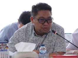 Kunci Pembangunan di Meja RTRW, Gerindra Kepri Ingatkan Peran Strategis Natuna