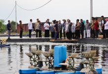 Komisi IX DPR RI Tinjau Tambak Udang Vaname di Kepri, Dorong Investasi dan Perlindungan Tenaga Kerja