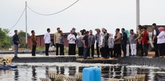 Komisi IX DPR RI Tinjau Tambak Udang Vaname di Kepri, Dorong Investasi dan Perlindungan Tenaga Kerja