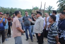 Cegah Kerusakan Jalan, Wakil Bupati Asahan Sidak Lokasi Bongkar Muat Kayu