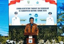 Kejar Akreditasi B, Dispusip Natuna Butuh Dukungan Semua Pihak