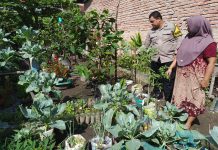 Bhabinkamtibmas Dumai Kota Aktif Dampingi Warga Kembangkan Pekarangan Bergizi