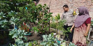 Bhabinkamtibmas Dumai Kota Aktif Dampingi Warga Kembangkan Pekarangan Bergizi
