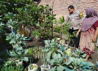 Bhabinkamtibmas Dumai Kota Aktif Dampingi Warga Kembangkan Pekarangan Bergizi