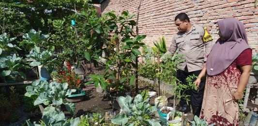 Bhabinkamtibmas Dumai Kota Aktif Dampingi Warga Kembangkan Pekarangan Bergizi