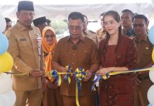 8 Tahun Pindah Lokasi, Bupati Aneng Resmikan Kembali Pukesamas Tarempa di Tempat Semula