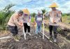 Kapolsek Bukit Kapur Turun Langsung Pimpin Penanaman Jagung Dukung Ketahanan Pangan