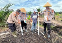 Kapolsek Bukit Kapur Turun Langsung Pimpin Penanaman Jagung Dukung Ketahanan Pangan
