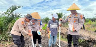 Kapolsek Bukit Kapur Turun Langsung Pimpin Penanaman Jagung Dukung Ketahanan Pangan