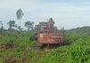 Disinyalir AR dan Rit Bebas Garap Hutan di Sungai Sembilan Tanpa Izin