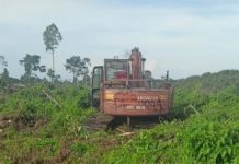 Disinyalir AR dan Rit Bebas Garap Hutan di Sungai Sembilan Tanpa Izin