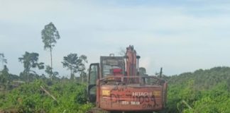 Disinyalir AR dan Rit Bebas Garap Hutan di Sungai Sembilan Tanpa Izin