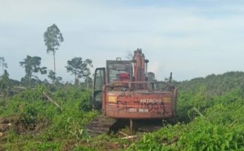 Disinyalir AR dan Rit Bebas Garap Hutan di Sungai Sembilan Tanpa Izin