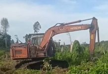 Diduga Ada Mafia Jual Beli Lahan Negara di Batu Teritip, Warga Soroti Maraknya Perambahan Hutan