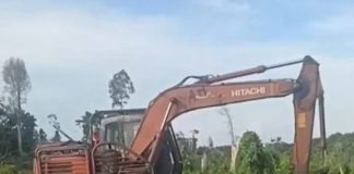 Diduga Ada Mafia Jual Beli Lahan Negara di Batu Teritip, Warga Soroti Maraknya Perambahan Hutan