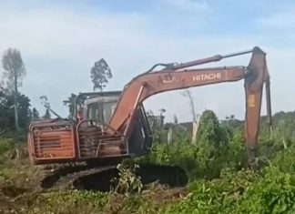Diduga Ada Mafia Jual Beli Lahan Negara di Batu Teritip, Warga Soroti Maraknya Perambahan Hutan