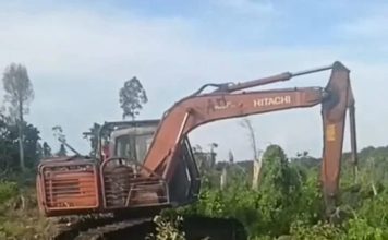 Diduga Ada Mafia Jual Beli Lahan Negara di Batu Teritip, Warga Soroti Maraknya Perambahan Hutan