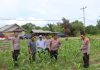 Kapolres Natuna Ikuti Panen Raya Jagung Serentak Kuartal II dan Salurkan Bantuan Sembako kepada Masyarakat