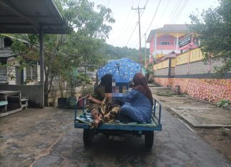 Miris, Pasien di Siantan Timur Terpaksa Diangkut Gunakan Tosa Karena Ambulance Bermasalah