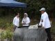 BP Batam Kecam Perusakan Puluhan Tanaman Bugenvil, Ariastuty: “Tindakan Vandalisme Ini Ciderai Semangat Kolektif Program Penataan Kota”