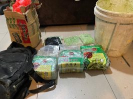 Ditresnarkoba Polda Kepri Ungkap Jaringan Narkotika Internasional di Pulau Buru Karimun