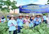 Panen Raya RSA Farm, Lanud Raden Sadjad Dorong Kemandirian Pangan di Natuna