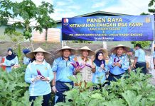 Panen Raya RSA Farm, Lanud Raden Sadjad Dorong Kemandirian Pangan di Natuna